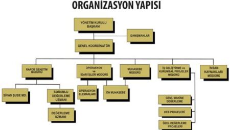 Voleybol Federasyonları: Sporun Yönetim ve Organizasyon Yapısı