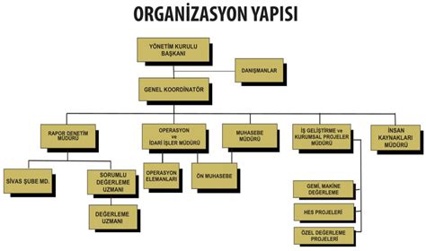 Voleybol Federasyonları: Sporun Yönetim ve Organizasyon Yapısı